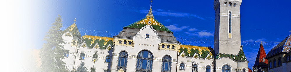 Autonom Car Rental In Targu Mures With Carflexi Com